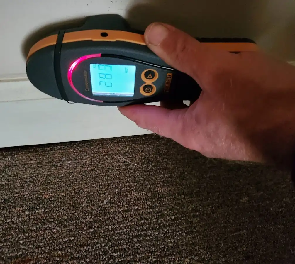 Moisture detection at baseboard during Mold Inspection & Testing in Brewster